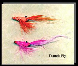 Francis Fly