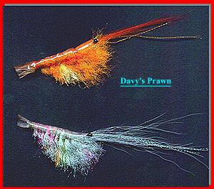 Davy's Prawn