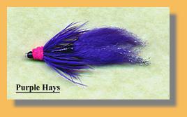 Purple Hays